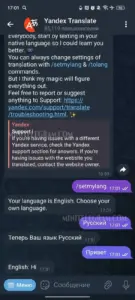 Yandex Translate 2