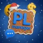 Playerok Manager