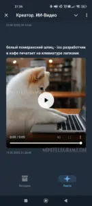 Creator AI Video 5