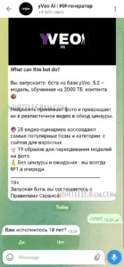 yVeo AI 1