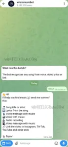 whatsmusicbot 1