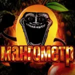 мангометр