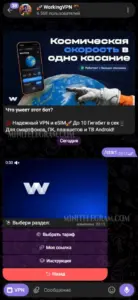 🚀 WorkingVPN 🪂 1