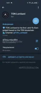 TON Lombard 5