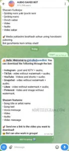 Audio Saved Bot 1