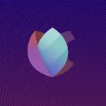Torrent Downloader ☁️ (Seedr.cc)