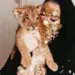 Bot Alaa