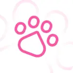 Cats VPN