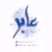 بوت عابر
