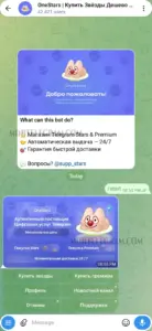 OneStars 1