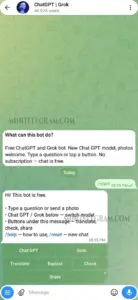 ChatGPT | Grok 1