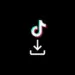 TikTok Downloader