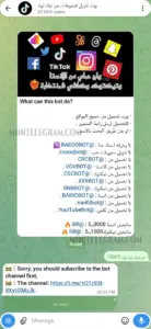 RLR Downloader 1