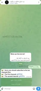 TikTok Downloader 1