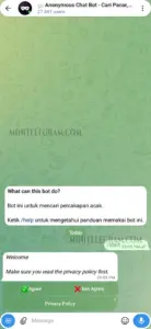 Temanid 1