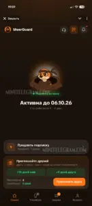 MeerGuard VPN 1