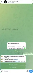 TikTok Downloader 1