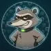 Raccoon Gifts