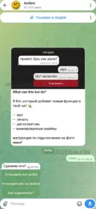 AniSmi 1