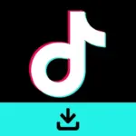 TikTok Downloader