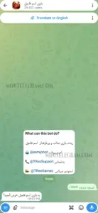 EsmJoBot 1