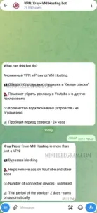 VNI Hosting VPN 1