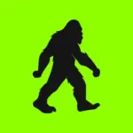 BitFoot