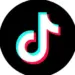 RLR Downloader