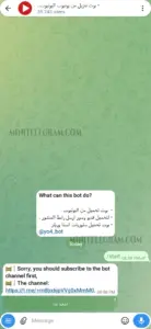 V5Z YouTube Downloader 1