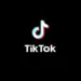 TikTok Downloader