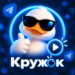 Кружок из видео